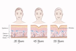 Read more about the article The Importance of Collagen