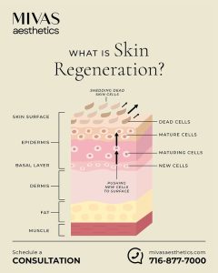 Read more about the article Simply put, skin regeneration is your body’s natural cell turnover process.