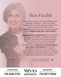 Read more about the article 